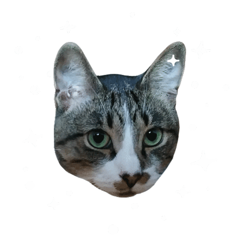 Cat Spinning Sticker by mynameisnastia