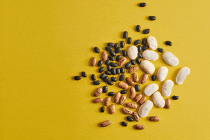 Beans Legume GIF by Rådet for sund mad