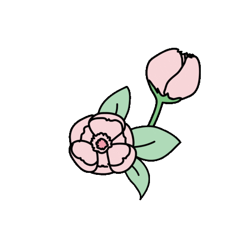 Flowers Bloom Sticker by Althea Korea