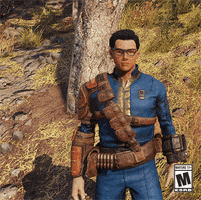 Fallout Thumbs Up GIF by Bethesda