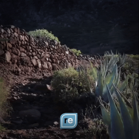 App GIF