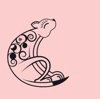 Cat GIF