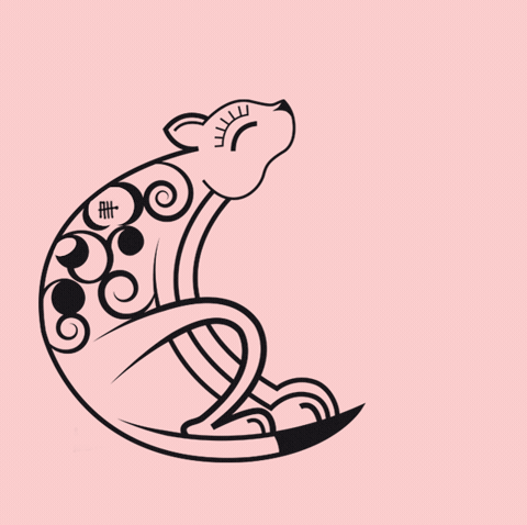 Cat GIF