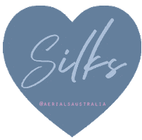 Gym Hoop Sticker by Aerial Supplies Australia