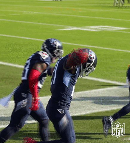 Flying National Football League GIF by NFL