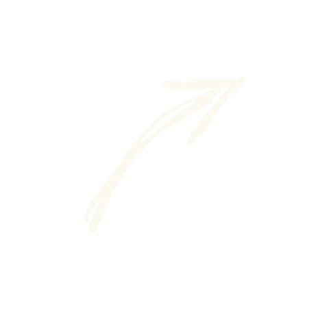 Coffee Coffeeroaster Sticker by Kaffeerösterei Konstanz