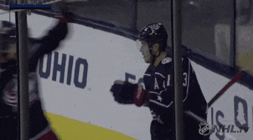 nhl happy sports excited celebrate GIF