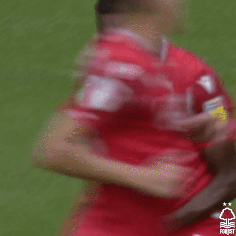 Football Passion GIF by Nottingham Forest