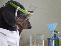 Science GIF - Find & Share on GIPHY