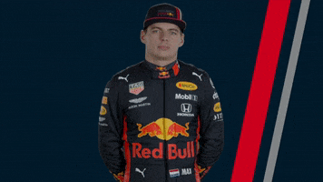 redbullracing car racing race 2019 GIF