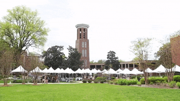 Belmont Entrepreneurship GIF