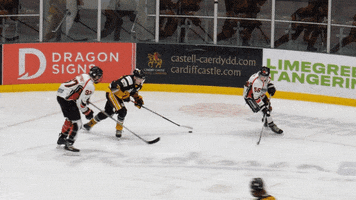 Ice Hockey Hits GIF by Cardiff Fire