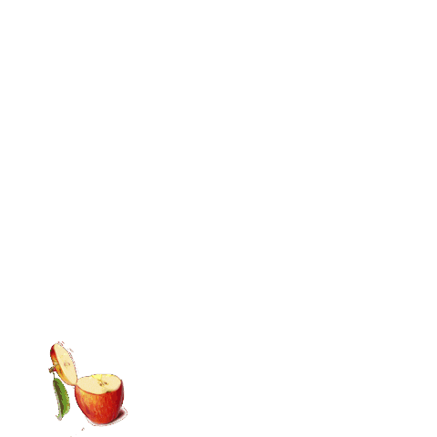 Nourish by Pooja Makhija Sticker