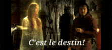 Dame Du Lac Arthur GIF