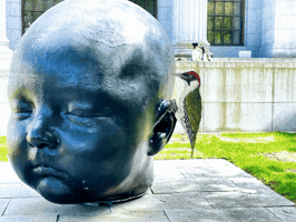 Ds106 GIF
