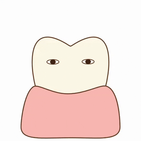 Jump Tooth GIF by dental_sozai