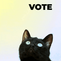 Voting Election 2020 GIF by Anne Lee