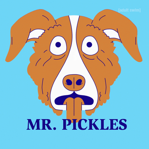 Happy Mr Pickles GIF by Adult Swim