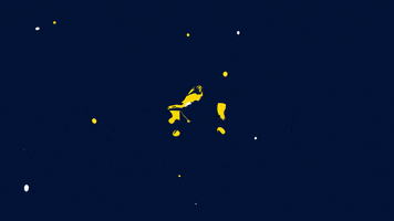 Yellow Dog Creative GIF