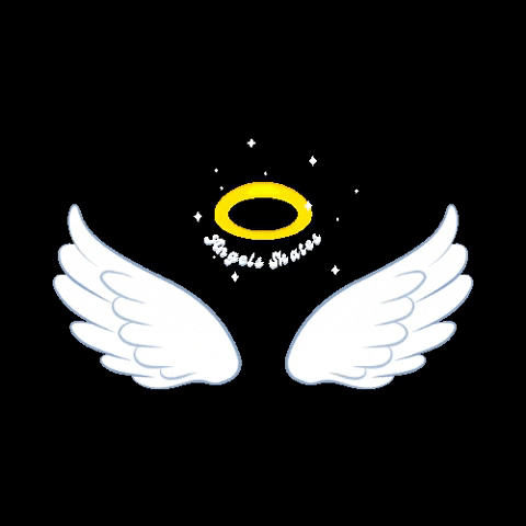 Angel Wings GIF by Angels Skates