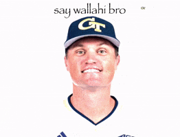Georgia Tech GIF