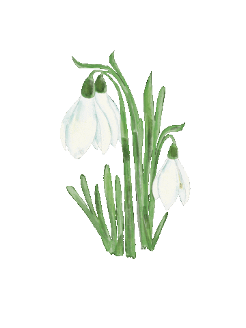 Цветы Sticker