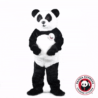 Happy Gangnam Style GIF by Panda Express