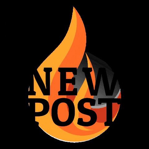 Knoss Conceptstore GIF