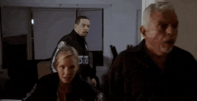 Law And Order Chase GIF by Wolf Entertainment