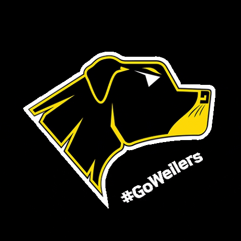 Rio Preto Weilers GIF