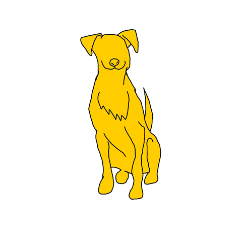 Dog GIF