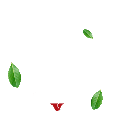 Erva-mate VIER Sticker