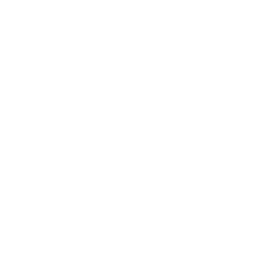 ALDI Sticker