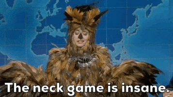 Snl Owl GIF by Saturday Night Live