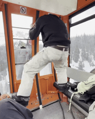 Ssv GIF
