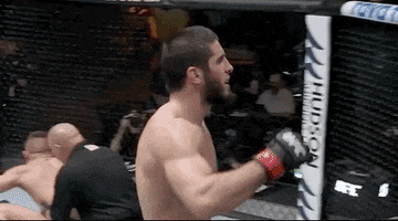 Islam Makhachev Sport GIF by UFC