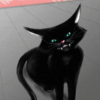MrPawmantic  GIF