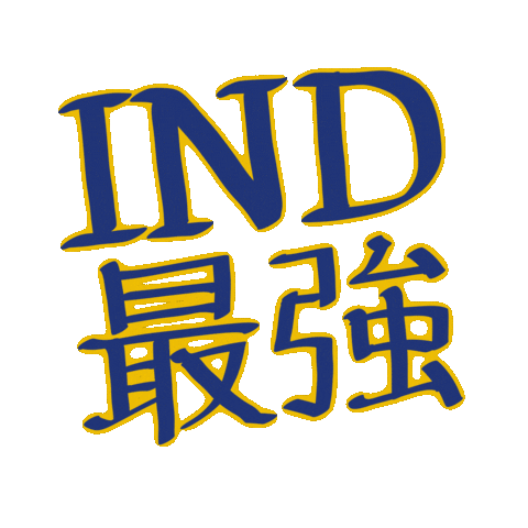 Pacers Sticker