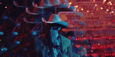 Chapter 2 Bronco GIF by Orville Peck