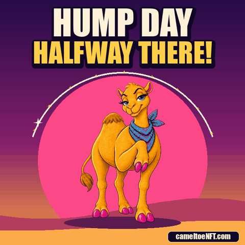 Wednesday Celebrate GIF by CamelToe