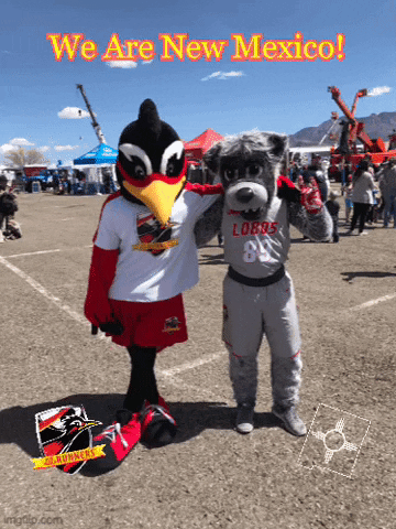 New Mexico Lobos GIFs - Get the best GIF on GIPHY