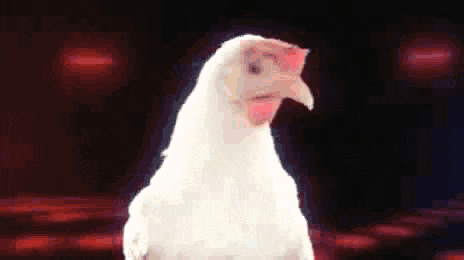 Chicken Spinning GIF - Find & Share on GIPHY