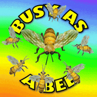Im Busy Honey Bee GIF