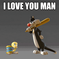 love you sylvester GIF by Looney Tunes World of Mayhem