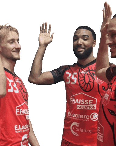 Vhb Sticker by Valence Handball