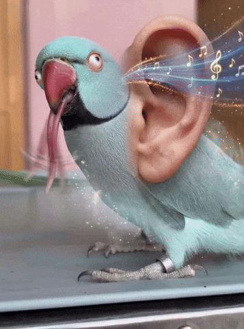 Listening GIF