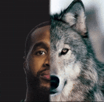 Cfl Saskatchewan GIF