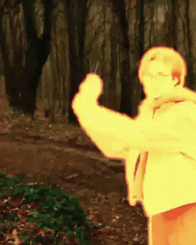 Forest GIF