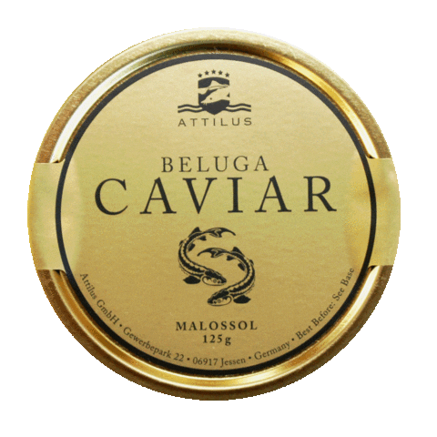 Attilus Caviar Sticker