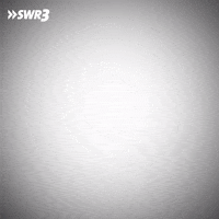 Excuse Me What GIF by SWR3